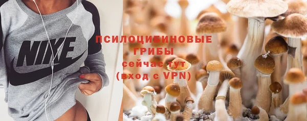тгк Майский