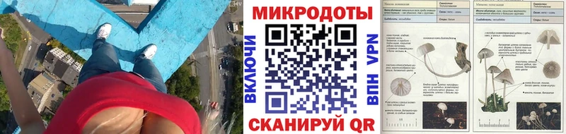 закладка  Уфа  Галлюциногенные грибы Magic Shrooms 